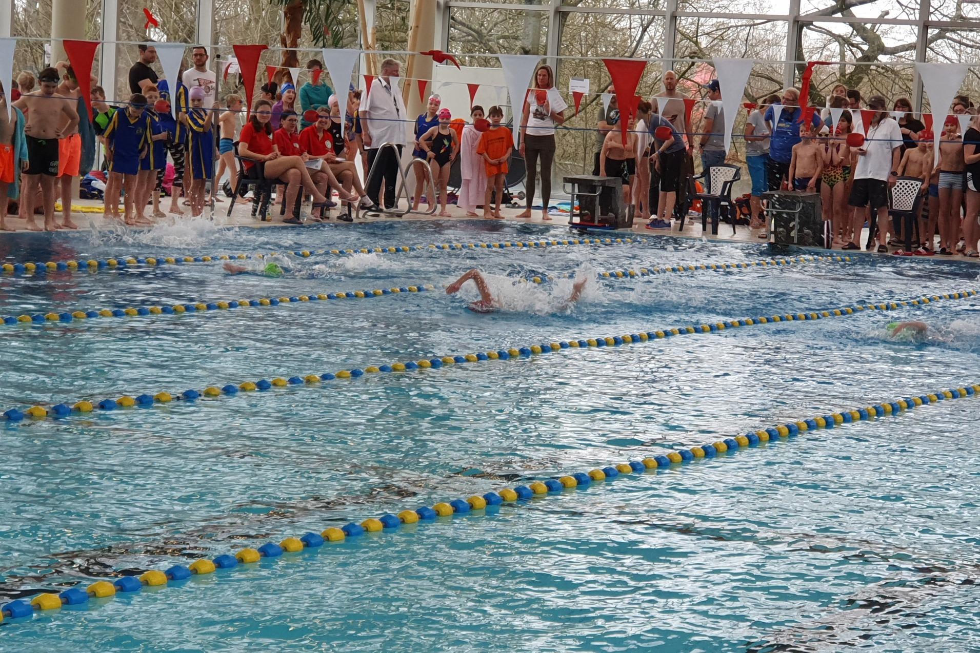 Wettkampf im Hallenbad: Schwimmer tauchen in einem Becken umgeben von Zuschauern und bunten Wasserbändern.