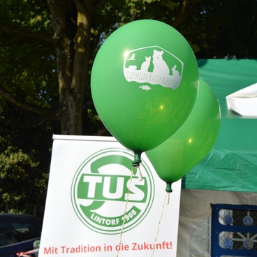 Zwei gr&uuml;ne Ballons mit einem Logo &uuml;ber einem Banner des Vereins TUS Lintorf 1908, umgeben von B&auml;umen.