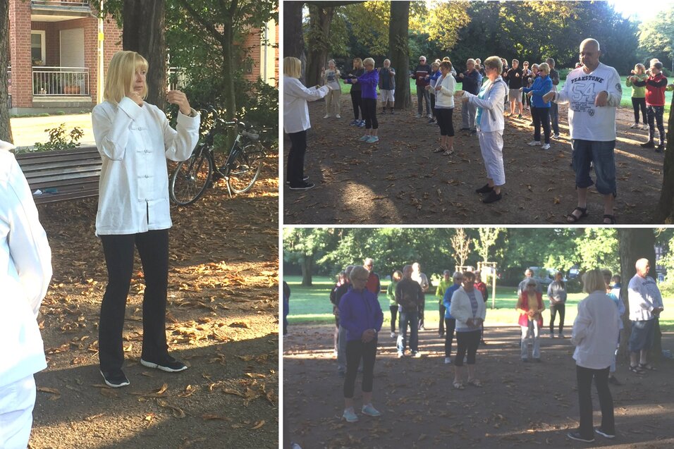 Gruppentraining im Park: Teilnehmer in bequemer Kleidung &uuml;ben gemeinsam Tai Chi unter B&auml;umen.