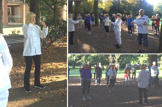 Gruppentraining im Park: Teilnehmer in bequemer Kleidung &uuml;ben gemeinsam Tai Chi unter B&auml;umen.