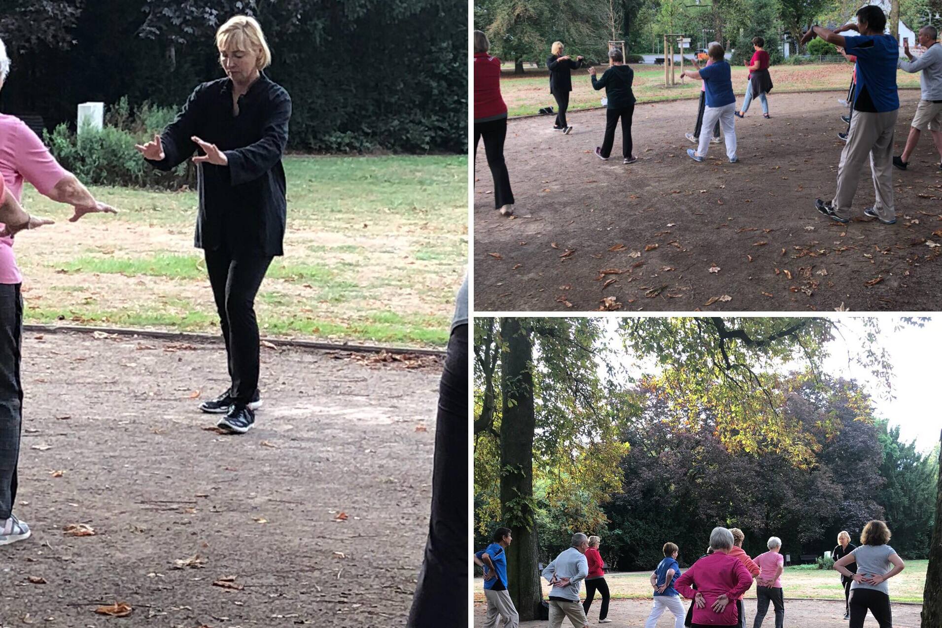 Gruppenübung im Park: Menschen praktizieren Tai Chi unter Anleitung einer Trainerin inmitten von Bäumen.