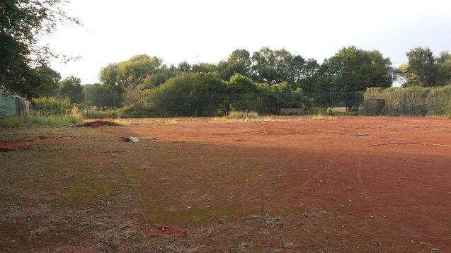 Verlassener Tennisplatz mit brauner Erde, umgeben von Bäumen und hohem Gras unter einem bewölkten Himmel.