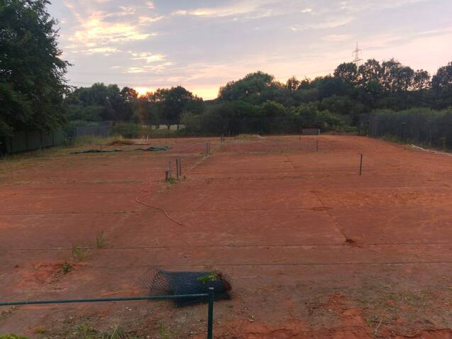 Leerer Tennisplatz aus rotem Sand, umgeben von Bäumen, unter einem teilweise bewölkten Himmel bei Sonnenaufgang.