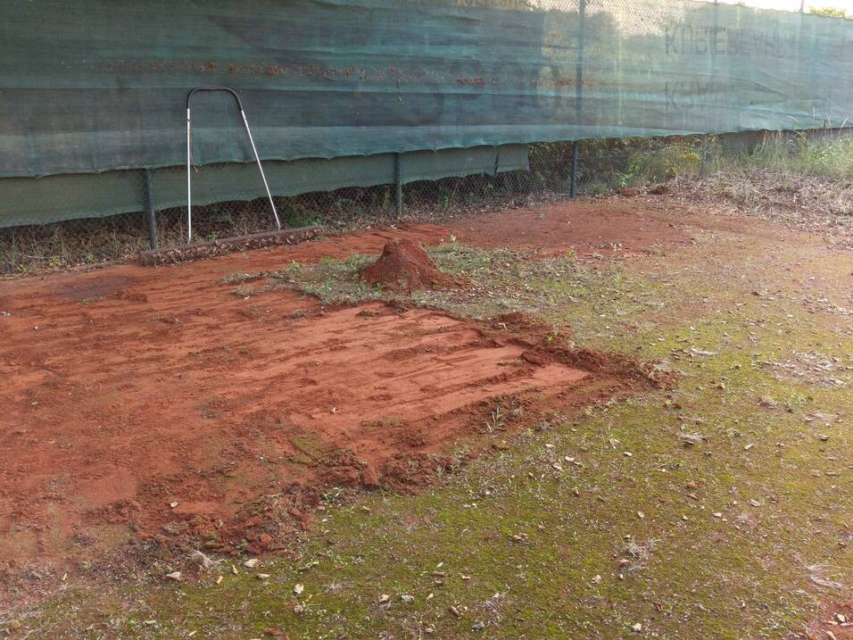 Bodenfläche mit umgegrabenem, rötlichem Erdreich und einem kleinen Erdhaufen, umgeben von grünem Gras.