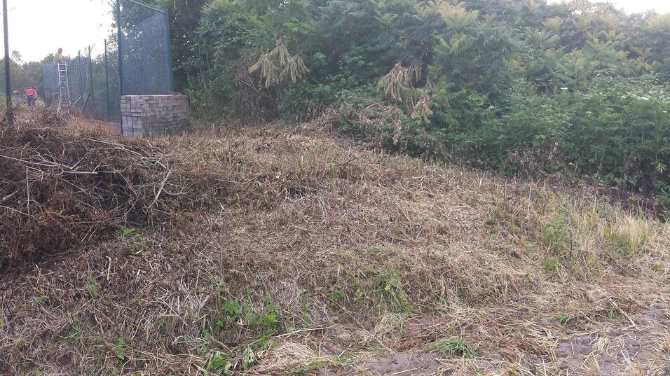 Ungepflegtes Grundstück mit hohem Gras und Gestrüpp neben einem Tennisplatz im Hintergrund.