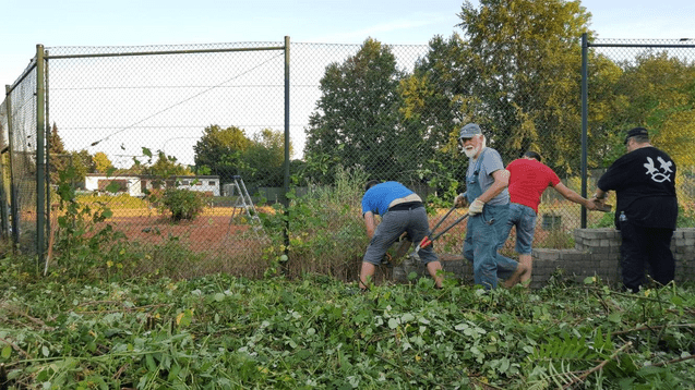 Vier Personen schneiden Pflanzen an einem eingezäunten Tennisplatz mit Bäumen im Hintergrund.