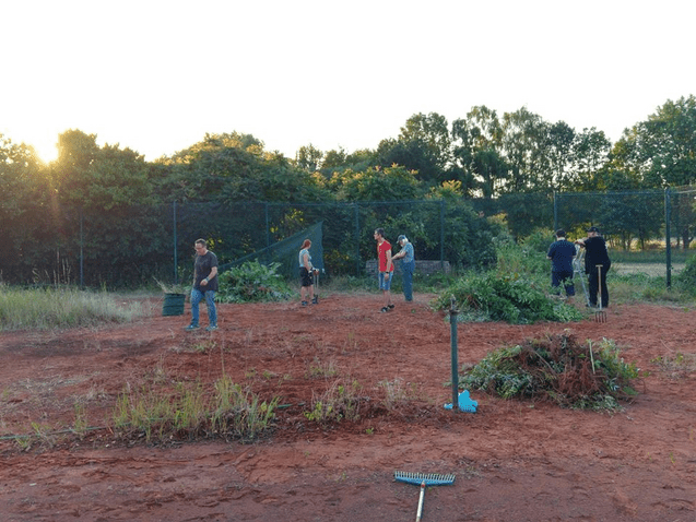 Gruppen von Personen arbeiten auf einem unebenen Gelände, um Vegetation zu entfernen, während die Sonne untergeht.