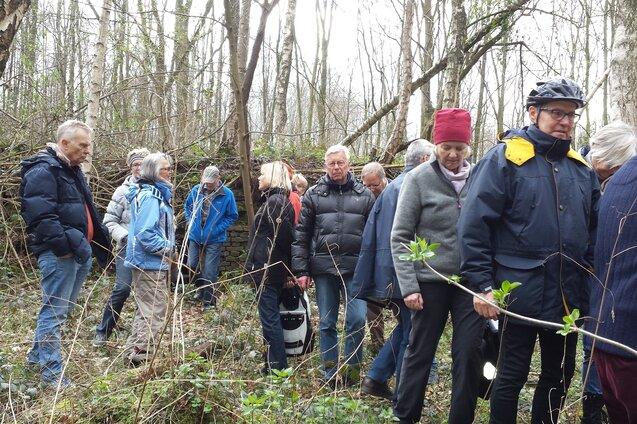 Gruppe von Menschen in Winterkleidung beim Spaziergang im Wald zwischen B&auml;umen und Geb&uuml;sch.